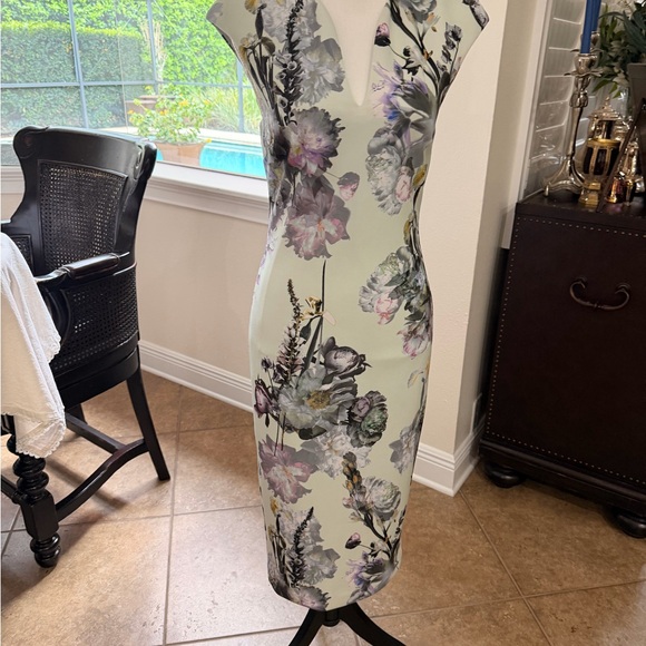 Ted Baker Dresses & Skirts - Ted Baker Pale Green Floral Midi Sheath Dress
